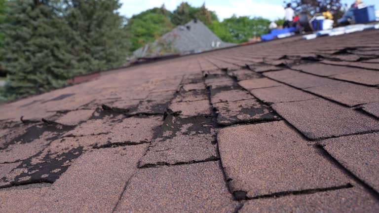 Best Asphalt Shingles Roofing  in Versailles, IN