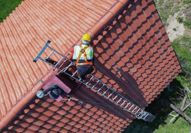 Best Cold Roofs  in Versailles, IN