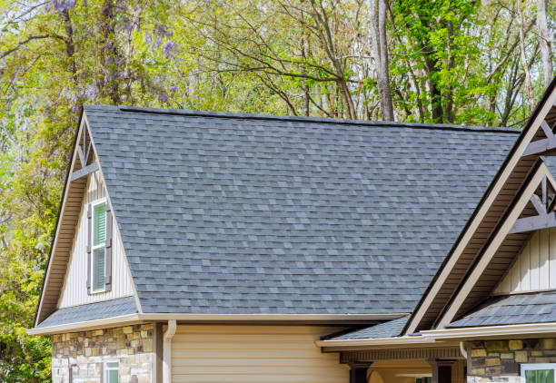 Best Gutter Installation and Repair  in Versailles, IN